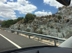 Rocky, slate ground as we approach the Sierra Nevada.