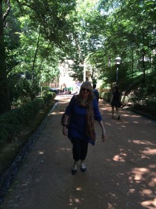 And back up again on the other side to the Palace.