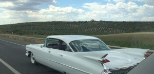 We pass an old white Chevrolet gliding decadently along.