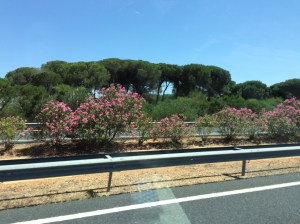 Driving past Cartaya.