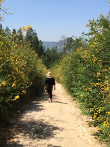 We came across no one else on the walk.