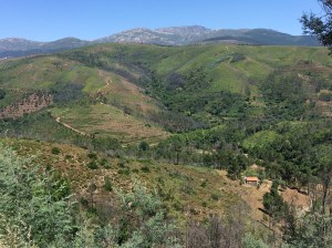 The breath-taking view from Seia.