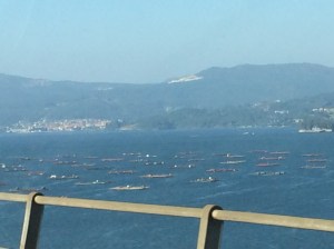 Going over the Ria de Pontevedre estuary.