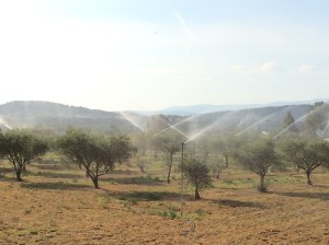 Giant sprinklers in action in Oraison to combat the widespread drought in the whole region.