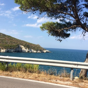 The road back to Molinella from Vieste.