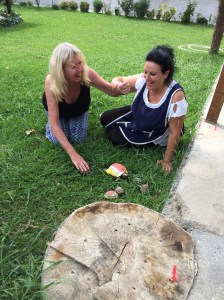 After lunch, Stella deploys tactics to keep us longer - like bringing out her tortoises for Judith to play with!