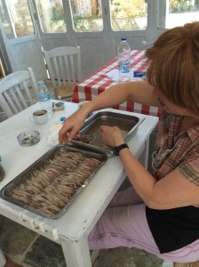 Sofia cleaning anchovies at Stathis's - no point in soul-searching.