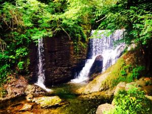 11892230_10156014011075381_529192849056118322_n