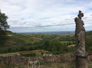 The view from the terrace.