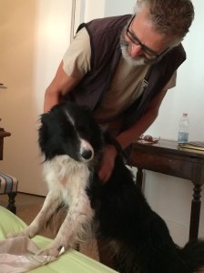 ..or some messing about in the bedroom where he's not allowed..