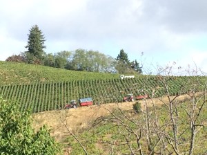 Not just an economic activity but preserving a tradition and a way of life.