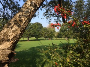 Pleasantly surprised by an Indian summer.