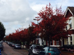 .. though autumn was very much here.